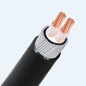 Cáp CXV Thịnh Phát