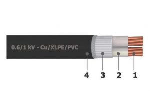 Cáp điện 2 lõi không giáp bảo vệ Goldcup