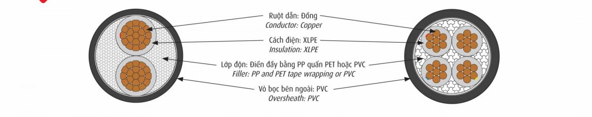 Cấu trúc Dây cáp điện Cadivi CXV 4x4