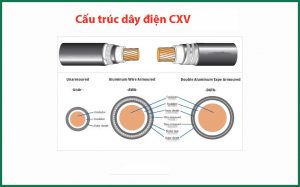Cấu trúc dây cáp điện CXV