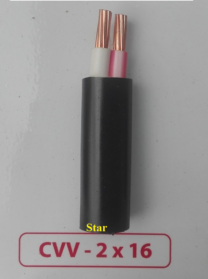 Dây cáp điện Cadivi CXV 2x16