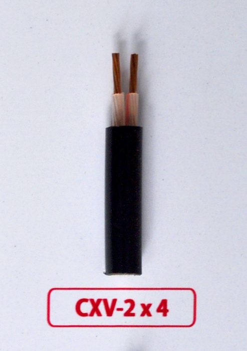 Dây cáp điện Cadivi CXV 2x4
