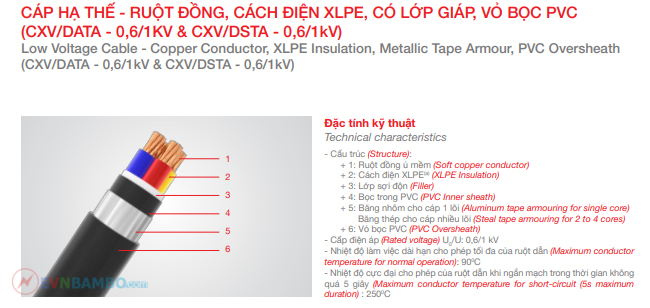 Cáp ngầm 2 lõi hạ thế Trần Phú CXV/DSTA 2x10